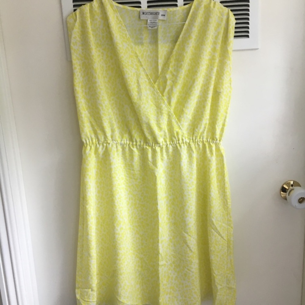 Sheer Dress/Coverup